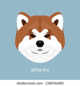 A sweet Asian dog Akita Inu, a portrait of a dog isolated on a blue background. Animals and nature, pet, friend, family, guard. Flat design, illustration. Vector