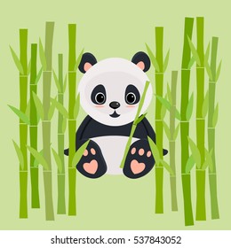 Sweet baby panda sitting between the bamboo.