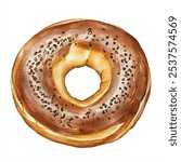 sweet Bagel bread watercolor clipart illustration