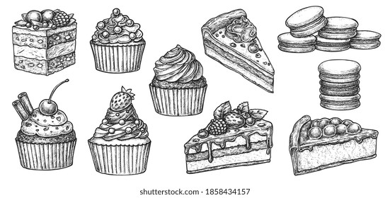 Sweet bakery dessert with cupcake, cake and macaroon sketch. Hand drawn pastry with cream filling, chocolate glaze topping, fruit and cinnamon spice vector illustration isolated on white background