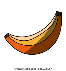 Sweet banana fruit
