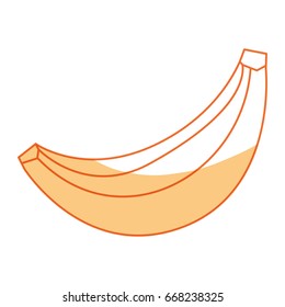 Sweet banana fruit