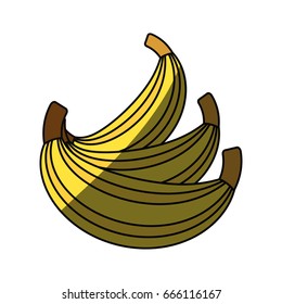 Sweet bananas fruit