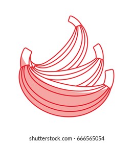 Sweet bananas fruit