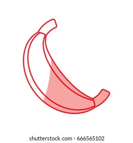 Sweet bananas fruit