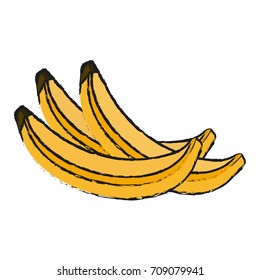 Sweet bananas fruit