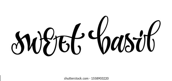 Sweet basil - hand drawn spice text. Isolated calligraphy script style words. Labels, stikers, packages design. Vector lettering design element.