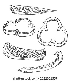 Süßer Glockenpfeffer in verschiedenen Scheiben. Vintage Vektorschraffur mit schwarzer Illustration. Einzeln auf weißem Hintergrund. Handgezeichnetes Design