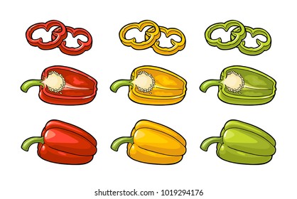 Sweet bell red, green, yellow pepper. Vector vintage color engraving illustration for menu, poster, label. Isolated on white background. Hand drawn design element for label and poster