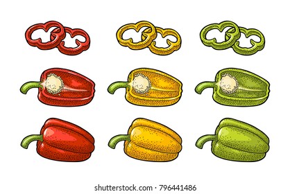 Sweet bell red, green, yellow pepper. Vector vintage color engraving illustration for menu, poster, label. Isolated on white background. Hand drawn design element for label and poster