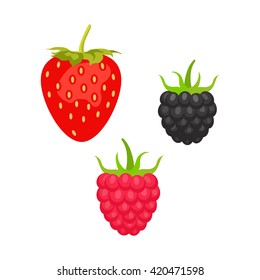 Sweet berries isolated on white background. Vector icons set. Illustration with strawberry, raspberry and blackberry