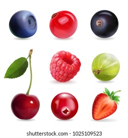 Sweet berries, vector illustration realistic set