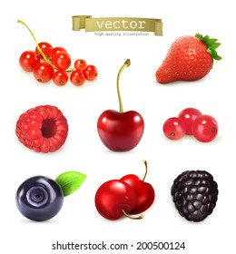 Sweet berries, vector illustration set of high quality