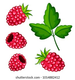 Sweet berry isolated on white background. Vector icons set. Illustration with raspberry