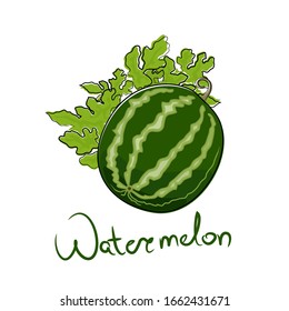 Sweet berry watermelon and text Watermelon , fruit isolated on white background, vector illustration