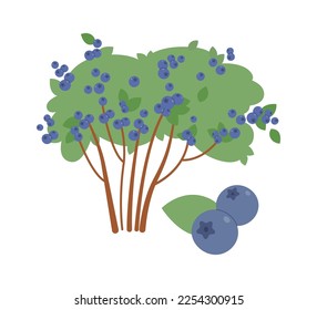 Sweet blueberries bushes flat icon Agriculture and gardening. Vector illustration