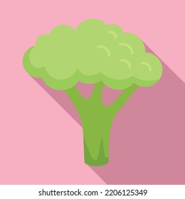 Sweet brocoli icon flat vector. Broccoli cabbage. Plant salad