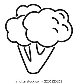 Sweet brocoli icon outline vector. Broccoli cabbage. Plant salad