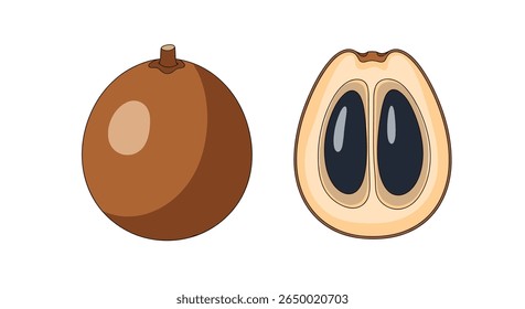 Sweet brown fruit with edible flesh and large black seeds showing the texture of its pulp and seeds