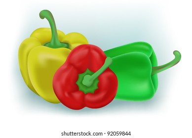 Sweet Bulgarian pepper. Vector version