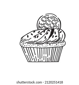 Sweet bun in doodle style vector. Cupcake in black and white line hand drawn.

