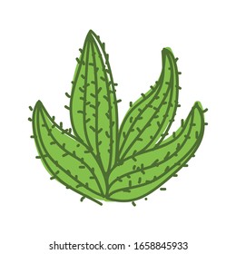 sweet cactus vector with green outline