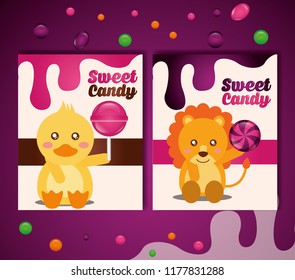 sweet candy concept
