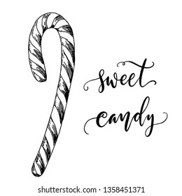 Sweet candy hand drawn pen and ink line art isolated on white background. Vintage etching illustration.