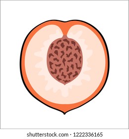 Sweet cartoon peach with green leaves on white, stock vector illustration