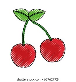 Sweet cherries fruit