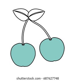 Sweet cherries fruit