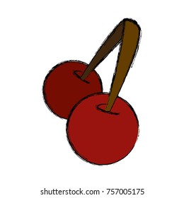 Sweet cherries fruit  icon
