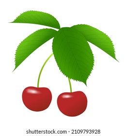 Sweet cherries and green leaves