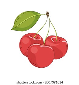 Sweet cherries. Three cherries with a tail and a leaf are stylized as a drawing. Vector illustration for websites, web design, backgrounds and print.