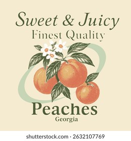 Sweet Cherries typography text print. Retro berry Print Design Vector with Slogan. Fashion graphic prints for fruit martini, Fashion slogan print. women's cute t-shirt print, vintage poster design.