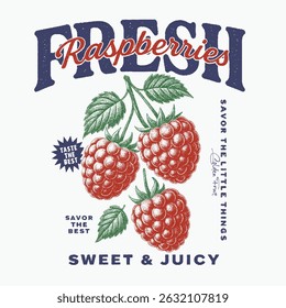 Sweet Cherries typography text print. Retro berry Print Design Vector with Slogan. Fashion graphic prints for fruit martini, Fashion slogan print. women's cute t-shirt print, vintage poster design.