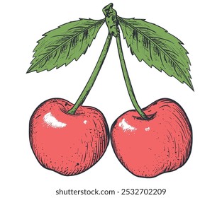 Sweet cherry artwork. Love you cherry much. Cherry fruit print. Nature fruit club print design. Organic food artwork for for t-shirt. Fruit vintage t-shirt design. Start fresh day.