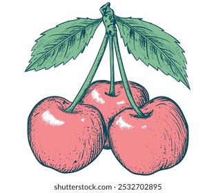 Sweet cherry artwork. Love you cherry much. Cherry fruit print. Organic food artwork for for t-shirt. Fruit vintage t-shirt design. Start fresh day.