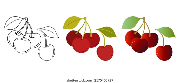 Sweet cherry. Doodle illustration of sweet cherry. Sweet cherry vector illustration