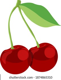 Sweet cherry, illustration, vector on white background