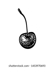 Sweet cherry. Ink sketch isolated on white background. Hand drawn vector illustration. Retro style.