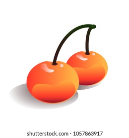 Sweet cherry yellow vector illustration
