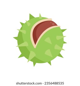 Sweet chestnut icon flat vector. Food tree. Season nut isolated