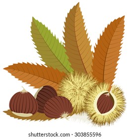 Sweet chestnuts with leaves and spiny husks on white background