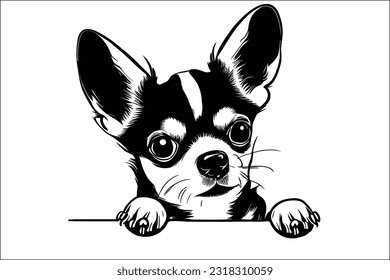 Sweet Chihuahua dog peeking, melting hearts with its tiny size and adorable expression, a bundle of joy