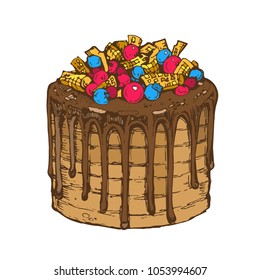 Sweet chocolate cake with icing with topping and decoration colorful ink drawn line art sketch stock vector illustration isolated on white background