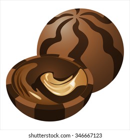 sweet chocolate candies on a white background vector