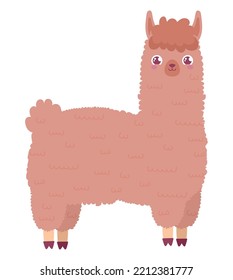 sweet colorful llama over white