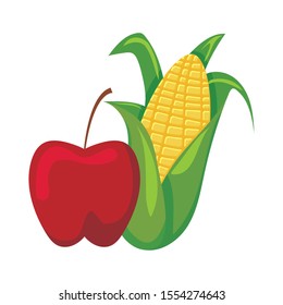 sweet corn with apple on white background vector illustration design
