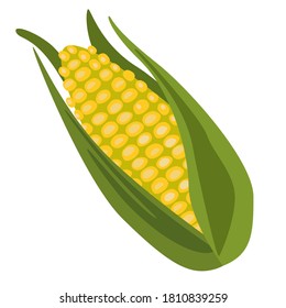 Sweet corn clipart. Isolated Vector illustration.